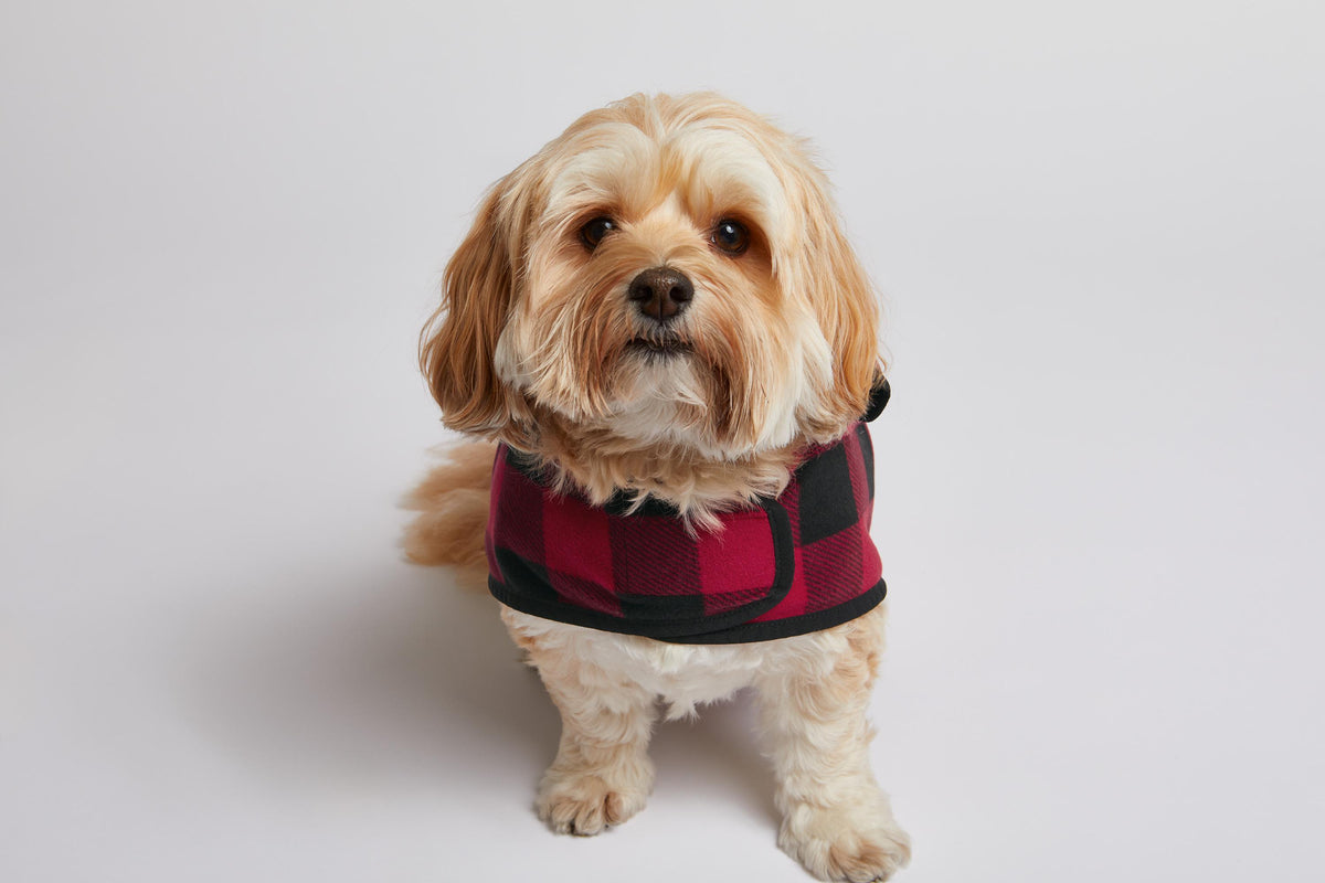 Personalized Dog Jacket, Glitter Applique, Fleece Fabric, Paw Print Design, Plush Microfleece, Embroidered Pets Name, Dog Gift